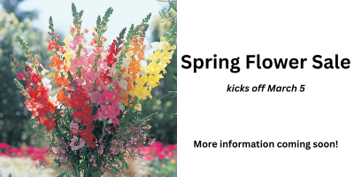 Spring Flower Sale