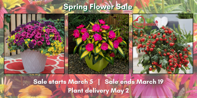 Spring Flower Sale